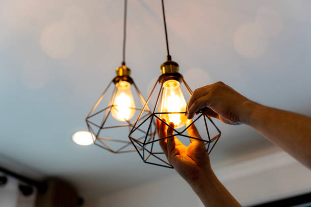 Best Generator Installation Services  in Kent City, MI